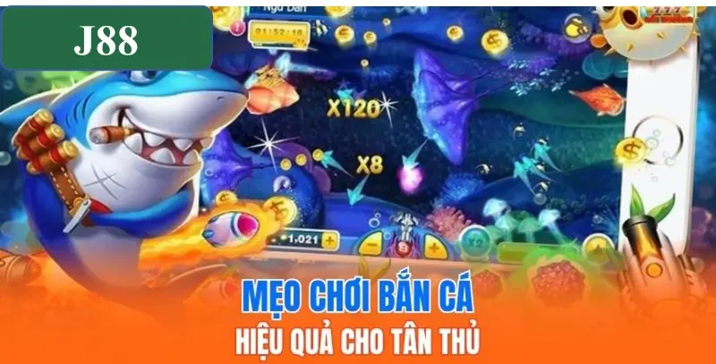 Mẹo bắn cá đổi thưởng đỉnh cao, hiệu quả cho tân thủ